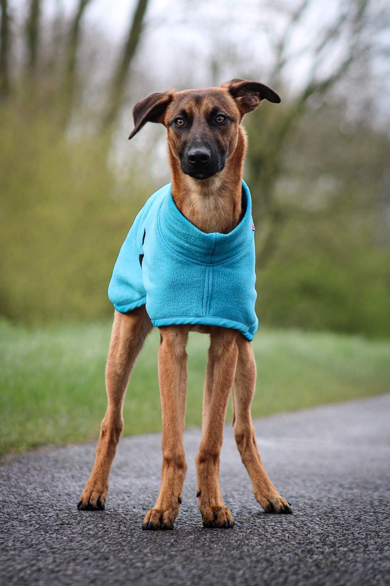 Jaegr Fleece